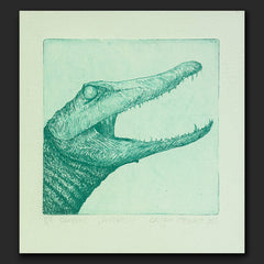 Aligator